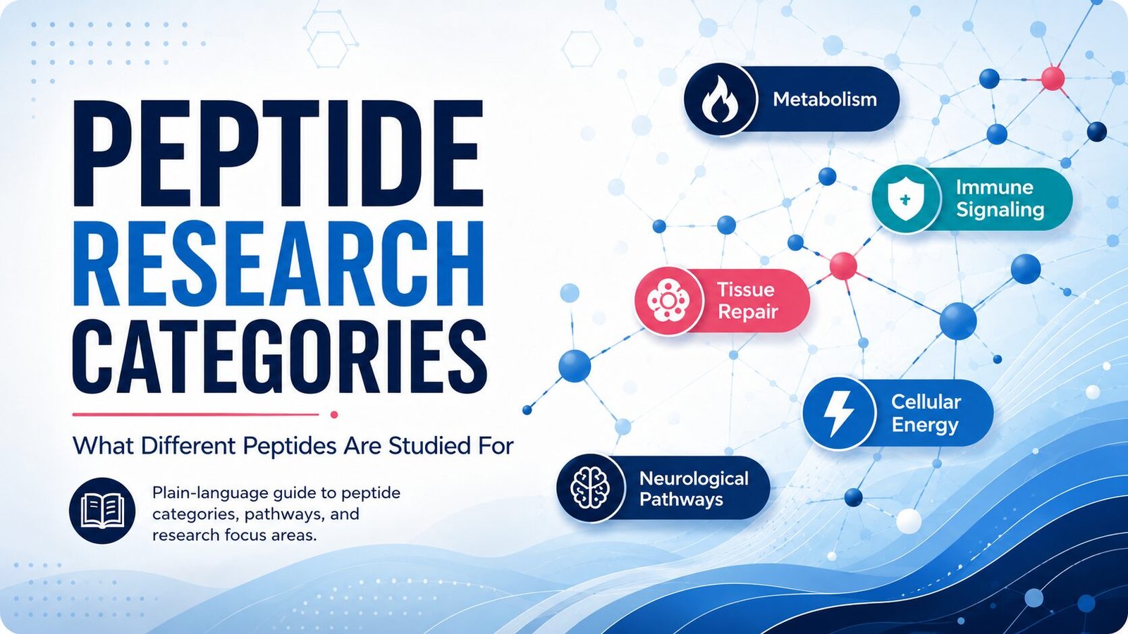 Peptide Research Categories infographic showing common areas of peptide research explained in everyday language